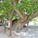 죽파리 경로당 이미지