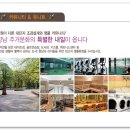 메이저휘트니스클럽 이미지