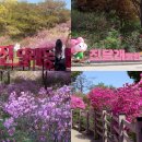 부천둘레길4코스 | 부천 원미산 둘레길 부천 데이트코스 꽃구경 등산코스