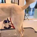 그루밍이즈 이미지