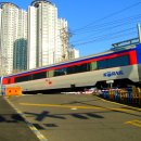 H1557 이미지