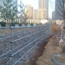 뜨는 돌 이미지