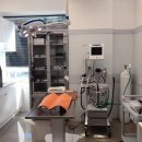 돌봄동물메디컬클리닉 이미지