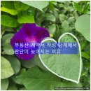 유원부동산중개사무소 이미지