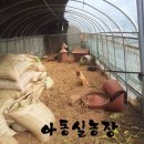 쫑이하우스