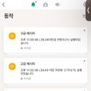 프로허브 네이버블로그