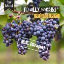 줄렙전자담배 이미지