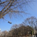 역구내주유소 | 서울대연구공원 웨딩홀 하객으로 다녀온 후기 장점과단점