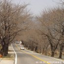 금정-화창한 날의 이미지