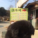 팔봉산코뚜레