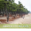 강릉바우길 5구간(바다호숫길) 이미지