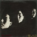 빛과 소금 이미지