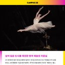2025년에 볼 발레 공연 모음zip (계속 추가할 예정🤍)