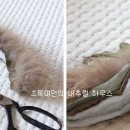 꾸밈장식 이미지