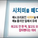 시치미 이미지