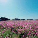 서윤의숲길 이미지