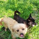 선아농장 이미지