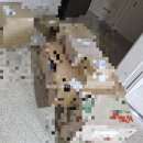 [38주 4일 초산 자연분만 후기] 전주한나여성의원, 한나산후조리원