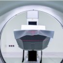 한국마사회 부산경남부속동물병원 | 지방 병원 CT 촬영 (지방, 수의과, 접근성)