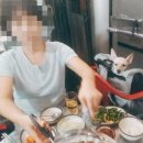 원효동물병원 이미지