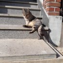 명법2통 이미지