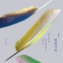 붐빔