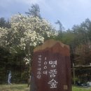 용부원2리 이미지