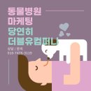 김해동물병원 이미지