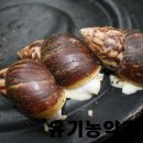 아까금농장 이미지