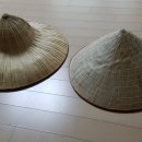 신정농장 이미지