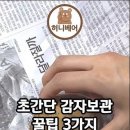 감자 보관법 3가지 이미지