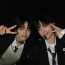 위딧