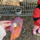 시형농장 이미지