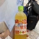 요시카부산 | [여행 후기] DAY1 - 도쿄 1박2일 여행을 빙자한 면접 수난기 (준비물, 숙소, 교통카드, 일정, 맛집...