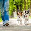 더봄동물병원 이미지