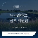 뉴코리아CC 회원권의 모든 것⛳신록(新綠)의 뿌리가 내린 반세기, 값을 매길 수 없는 명목(名木)의 향연