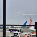 프린스파크호스텔 | 'Cause somewhere in the crowds there's you~