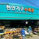 천안기구수족관