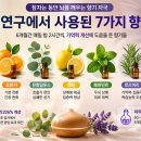 노인 기억력 226% 향상 잠들기 전 ‘이 냄새’ 뇌에서 무슨 일이? 이미지