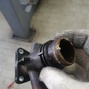 애니카랜드 만수점 이미지