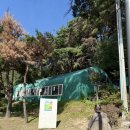 국밥먹고가자 | 기장맛집 숨은 국밥 찐맛집｜철마맛집 곰내연밭식당 소고기국밥 내돈내산 후기