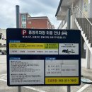 점심 데이트 맛집 추천, 분위기 좋은 이탈리아 음식점 '파타(PATA)' 솔직 후기