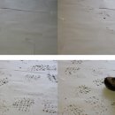 ACC네트워크플랫폼 : 아시아 쿨라 쿨라링 이미지