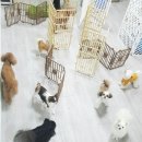 굿독 네이버블로그