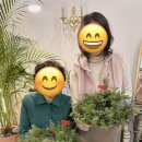 따뜻한 겨울 캔들리스 | 호매실 꽃집 시그널 플라워-크리스마스 테이블 캔들 리스 원데이 클래스 고부가 함게한 따뜻한 겨울 준비