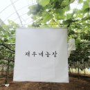 재우농장 이미지