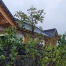 삼신아파트_서 | (경주한의원) 경주 삼신할배4대를 만났다!! 새로 이전한 위치 대추밭백한의원!!!