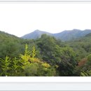 대야산자연휴양림 이미지