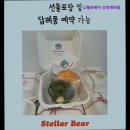스텔라베어인천