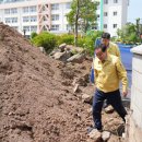 모라초등학교 이미지